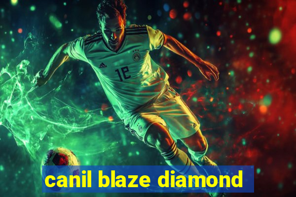 canil blaze diamond